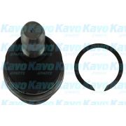 Слика 1 $на Јабучица KAVO PARTS SBJ-6550