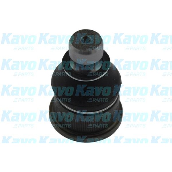 Слика на Јабучица KAVO PARTS SBJ-6563 за Opel Movano Combi (J9) 2.5 D - 80 коњи дизел