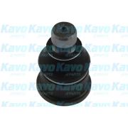 Слика 1 на Јабучица KAVO PARTS SBJ-6563