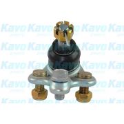 Слика 1 на Јабучица KAVO PARTS SBJ-9021