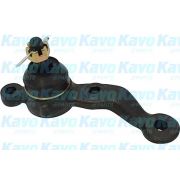 Слика 1 $на Јабучица KAVO PARTS SBJ-9048