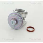 Слика 1 $на Egr вентил TRISCAN 8813 11003