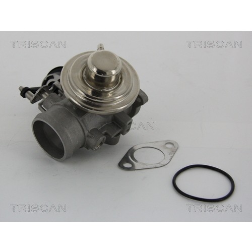 Слика на EGR вентил TRISCAN 8813 29001 за VW Beetle (9C1,1C1) 1.9 TDI - 90 коњи дизел