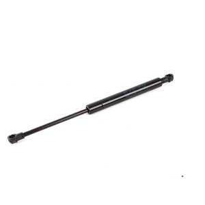 Слика на Hood Gas Strut BMW OE 51238202688 за  BMW 3 Coupe E46 318 Ci - 136 kоњи бензин