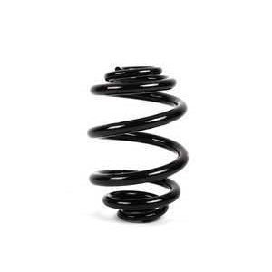 Слика на Rear Barrel Spring BMW OE 33536750250 за  BMW 3 Cabrio E46 320 Ci - 170 kоњи бензин