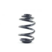 Слика на Rear Coil Spring - Heavy Duty BMW OE 33536750758