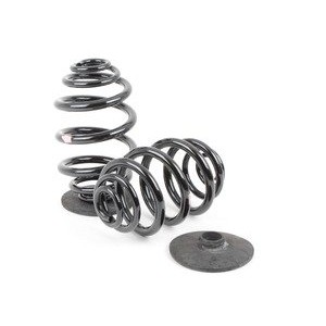 Слика на Rear Coil Springs BMW OE 33539059277