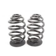 Слика на Rear Coil Springs BMW OE 33539065357