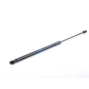 Слика на Rear Hatch Strut BMW OE 51247127875 за  BMW 3 Touring E91 318 i - 136 kоњи бензин